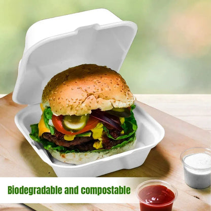 6" Bagasse Burger Boxes Compostable Clamshell Takeaway Food Containers